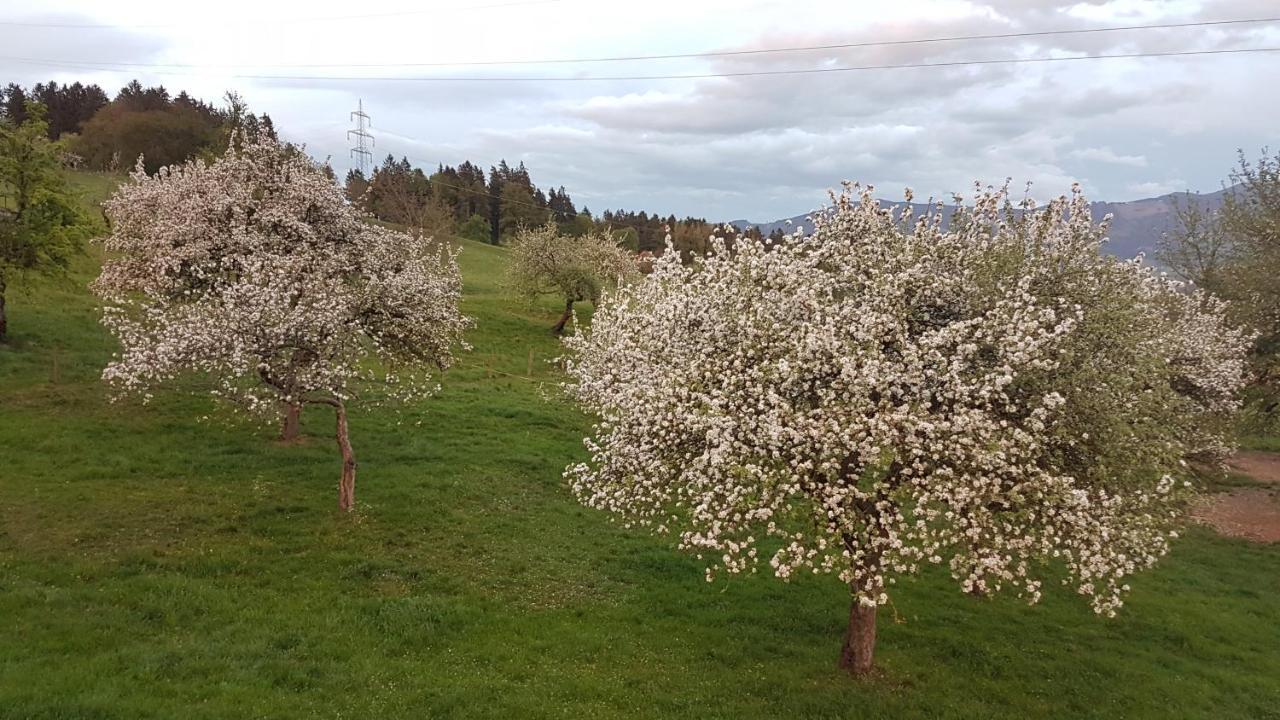 Ferienwohnungen Klimbacher Wolfsberg Luaran gambar