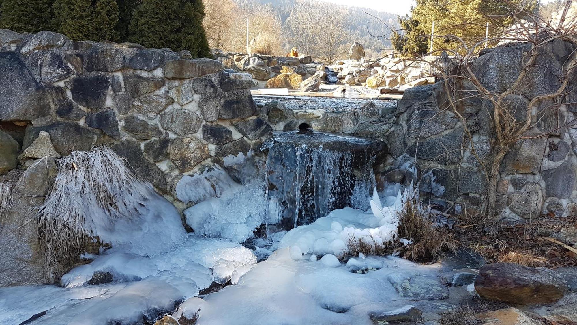 Ferienwohnungen Klimbacher Wolfsberg Luaran gambar