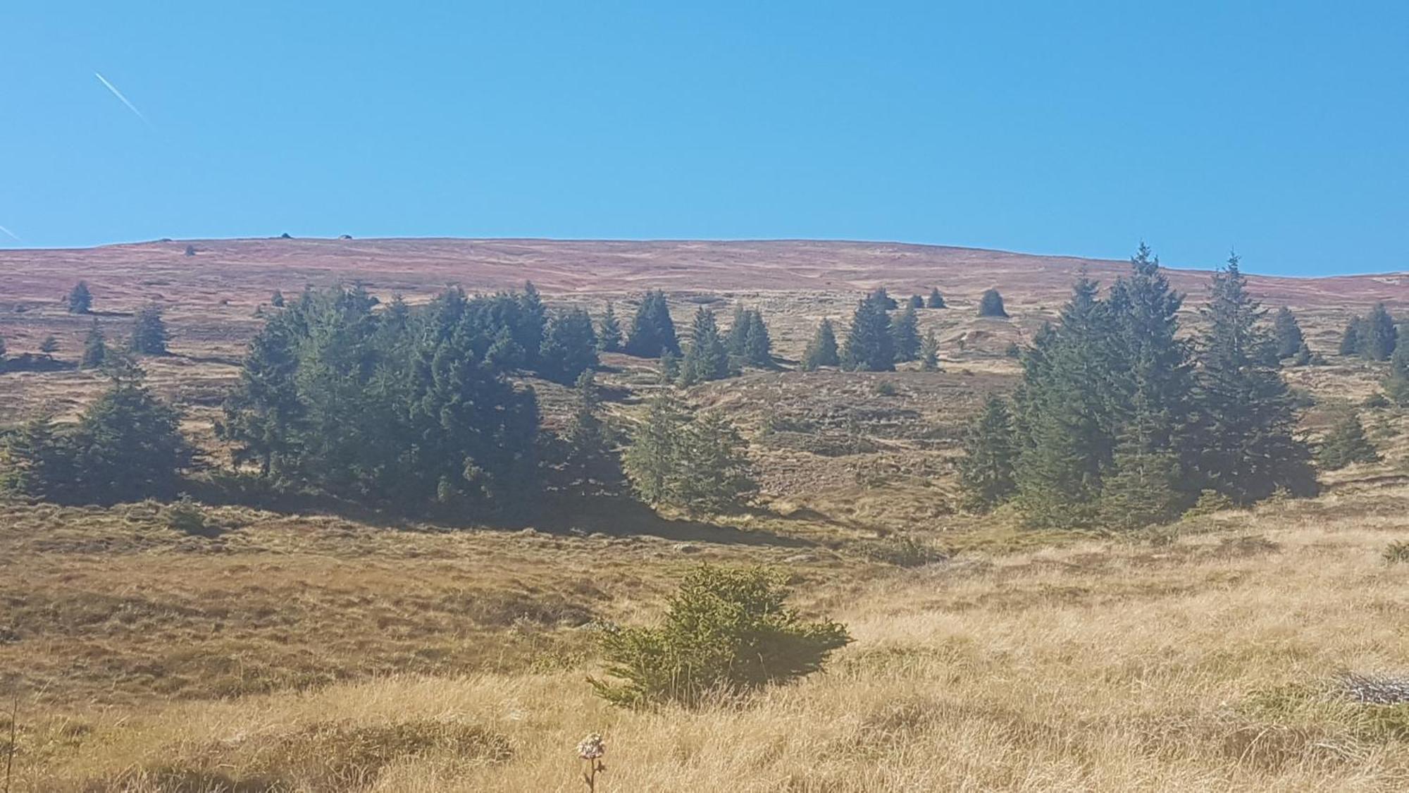 Ferienwohnungen Klimbacher Wolfsberg Bilik gambar