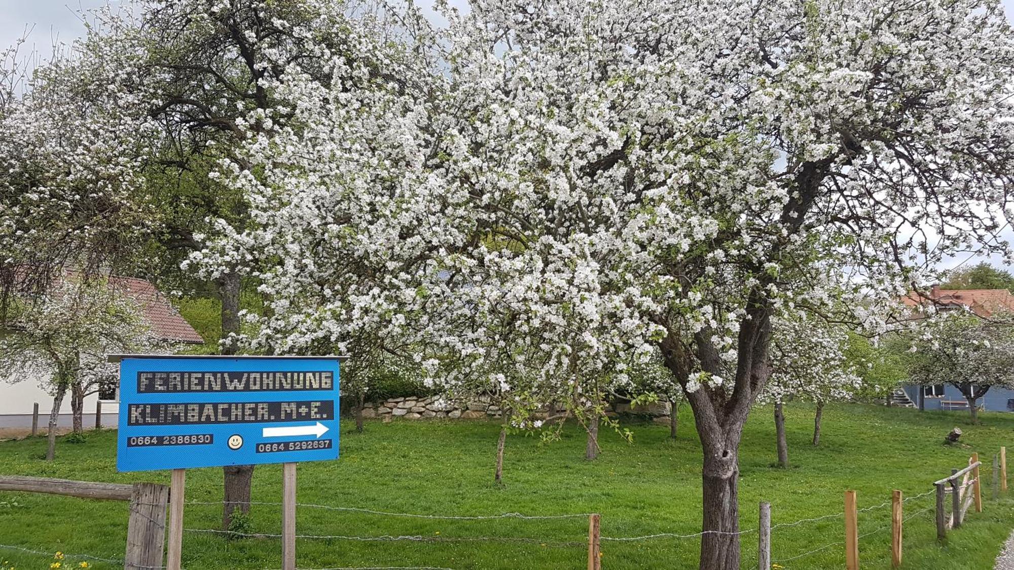 Ferienwohnungen Klimbacher Wolfsberg Bilik gambar